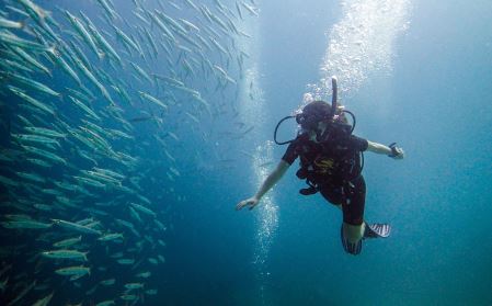 世界上最大的黄鳝，长1.5米宛如蟒蛇重达36斤原因介绍