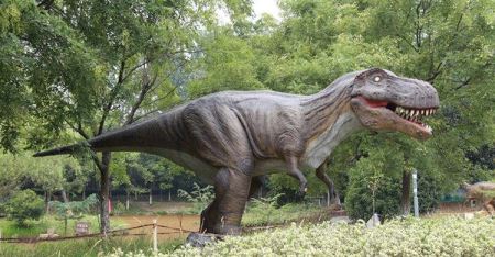 青藏高原被称为地球的第三极