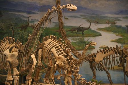小行星撞地球是导致恐龙灭绝的原因吗？