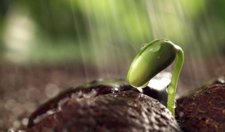 当今世界上长相很怪异的一些奇趣生物