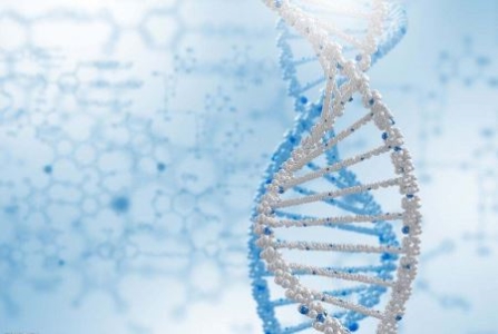 世界上尾巴最长的狗：尾巴长度达76.8厘米 