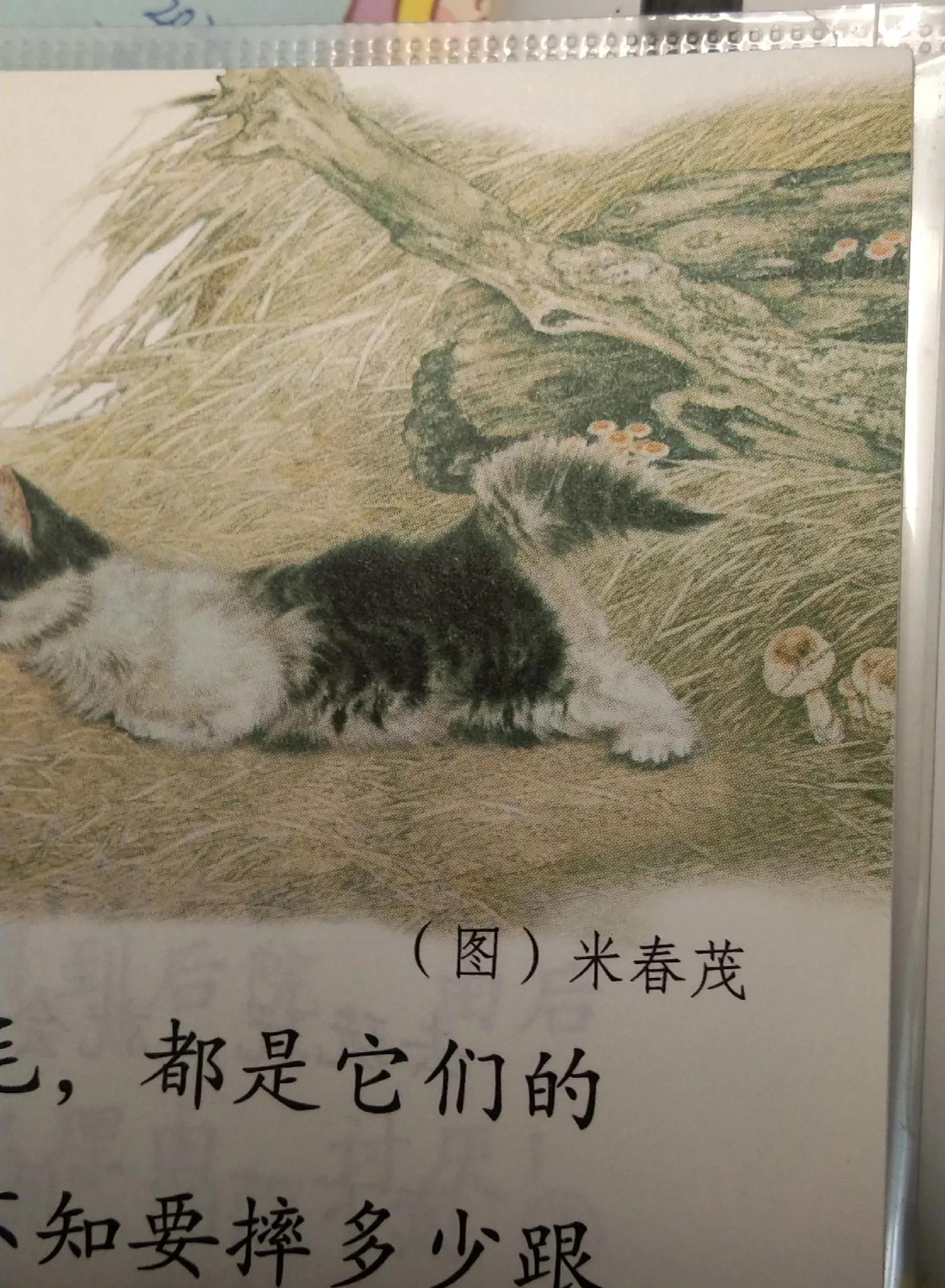 语文书上最恐怖一页？陀螺课文中有张女鬼照