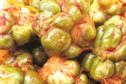 榨菜能放多久榨菜能放冰箱吗？榨菜食用指南