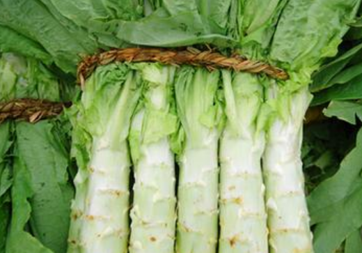 莴笋可以生吃吗？莴笋生吃好还是熟吃好