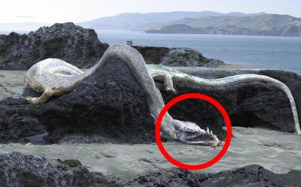 探寻海洋深渊：海怪奇闻轶事背后的科学谜题