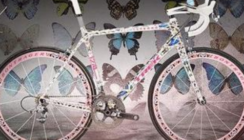 蝴蝶自行车价格3200万，世界上最贵的自行车简介