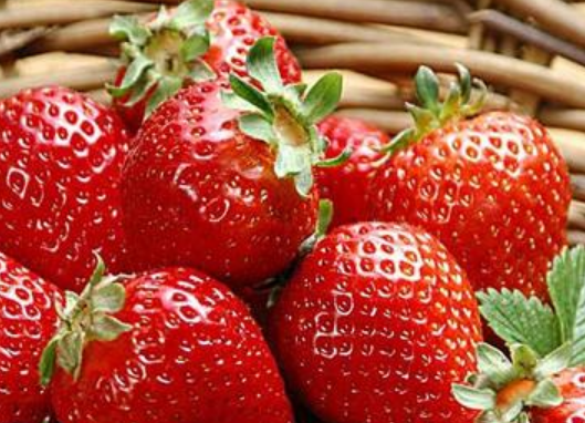 我们平常吃的草莓其实是吃它的什么部位？