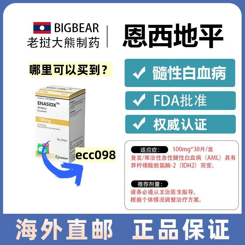 恩西地平说明书