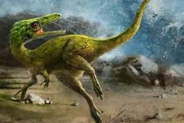 十大最弱的恐龙