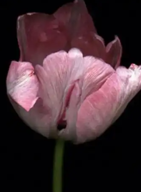 这4个行为，可能正在悄悄伤害“前列腺”，