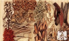 金缨子的功效与作用