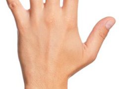 一天吃多少伸手就知道