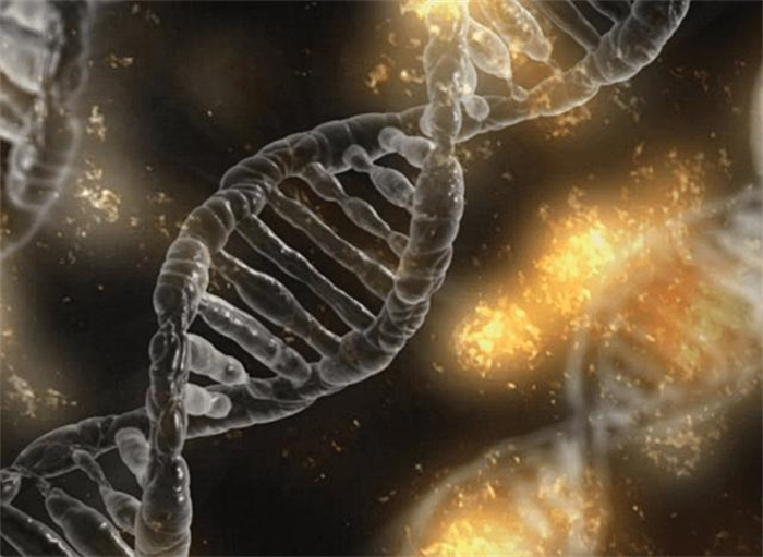 章鱼不被认为是动物 难道不是来自地球  实验研究对象