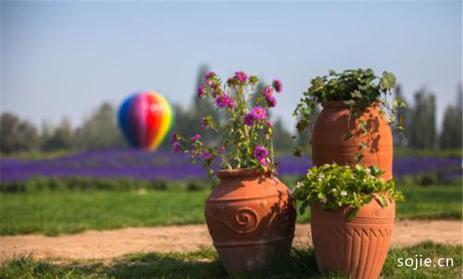 森林河趣那主题公园