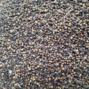 水翁花泡水喝的功效 ​水翁花可以经常饮吗