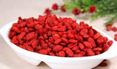 补血养颜枸杞四大惊人功效