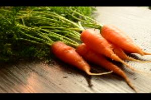 健康减肥食品 低卡饱腹促代谢