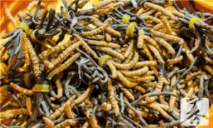 沙虫怎么做好吃