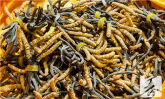 沙虫做好吃