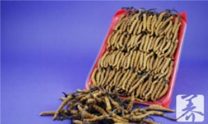 沙虫怎么做好吃