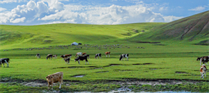 中国一生必去的50个景点