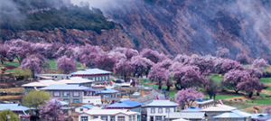 中国一生必去的50个景点