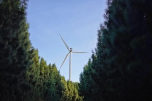 平潭岛三天三夜自驾游攻略