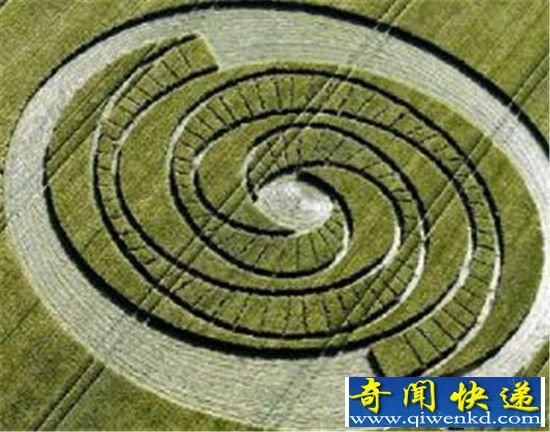 麦田怪圈未解之谜 竟是自然界的致命符号！
