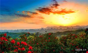 百里杜鹃风景名胜区