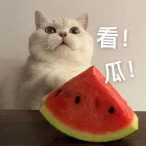 大曲线和前夫哥哥离婚故事 大曲线离婚的后续瓜来了(2)