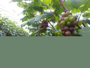 长沙自驾游小众景点推荐，先看完这篇攻略