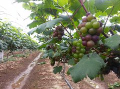 长沙自驾游小众景点推荐，先看完这篇攻略