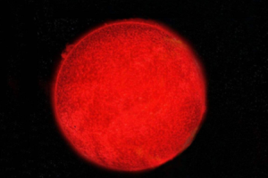 红矮星和太阳有什么区别：红矮星亮度弱(红矮星为恒星)