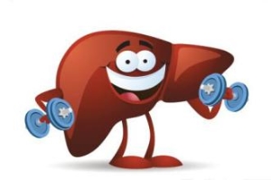 养肝金点子！养肝秘诀大