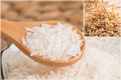 睡前吃香蕉瘦身又助眠