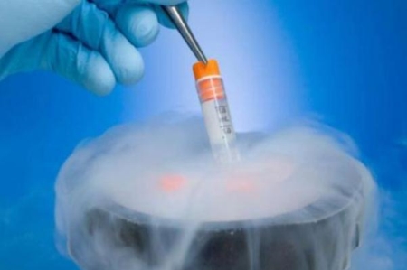 试管婴儿会宫外孕吗 试管婴儿会胎停吗 试管婴儿会宫外孕吗 试管婴儿会胎停吗