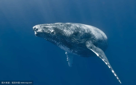 202211161668588577605577