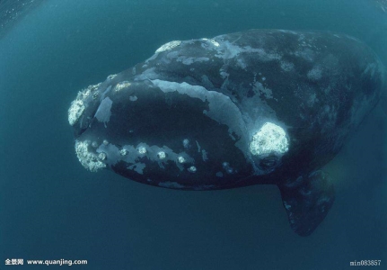 202211161668588579769097