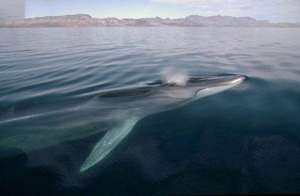 202211161668588580380232