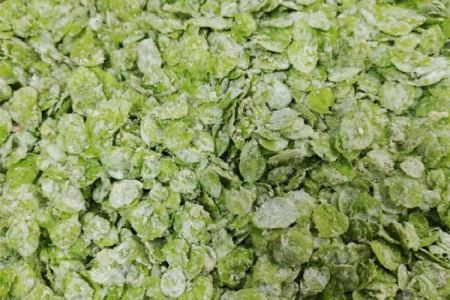 榆钱怎么做最好吃 榆钱可以凉拌吃吗 榆钱怎么做最好吃 榆钱可以凉拌吃吗