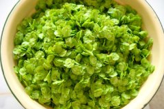 榆钱长期保存榆钱可以晒干保存吗？