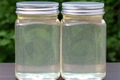 槐花蜜结晶了解决办法？槐花蜜结晶了是不是假的