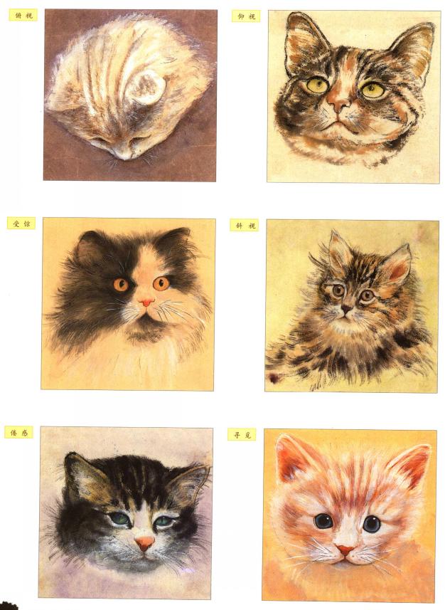 猫的四种画法教学 猫的基本画法与步骤(11)