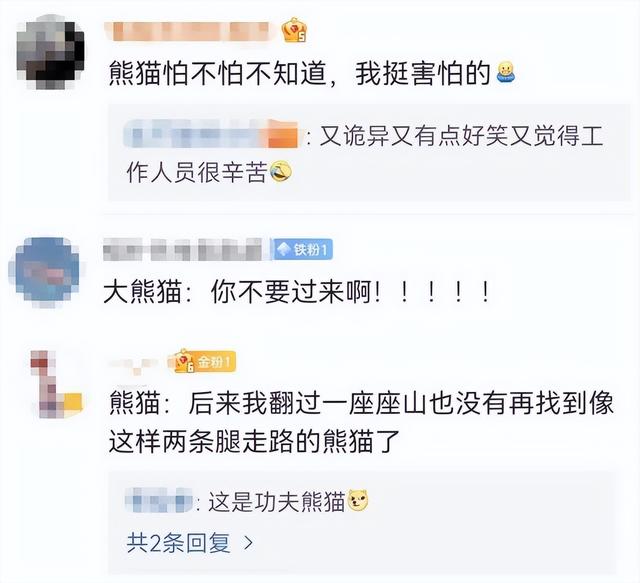 四川熊猫有多强大 四川有多少熊猫是人扮的(9)