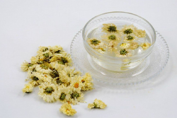 菊花茶对牙龈肿痛有好处吗 菊花茶喝多久能见效 菊花茶对牙龈肿痛有好处吗 菊花茶喝多久能见效