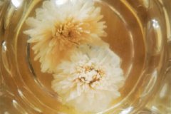 菊花茶哪种菊花好菊花茶是胎菊好还是大菊花好