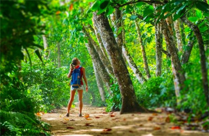 海马效应有多么诡异 梦里的事情似曾相识 海马效应有多么诡异 梦里的事情似曾相识