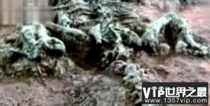 1934年辽宁营口坠龙事件是真的吗?龙骨证据竟被日本人盗走 1934年辽宁营口坠龙事件是真的吗?龙骨证据竟被日本人盗走