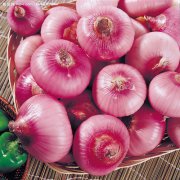 金秋九月吃点啥推荐五色养生法