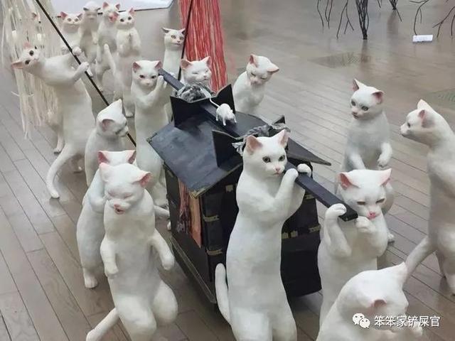 猫瘟多久才过危险期（冬末到春季是猫瘟高发季节）(2)